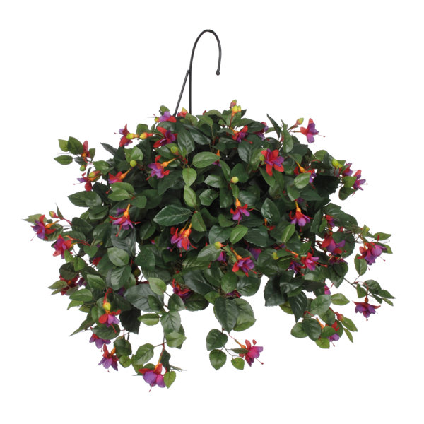 Plant Containers & Accessories Gardman 12 Fuchsia Flower Hanging Basket